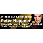 24-04-2012 - mcs_marketing - peter_heppner - banner.jpg